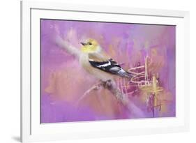 Abstract Goldfinch-Jai Johnson-Framed Giclee Print