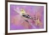 Abstract Goldfinch-Jai Johnson-Framed Giclee Print