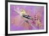 Abstract Goldfinch-Jai Johnson-Framed Giclee Print