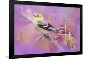 Abstract Goldfinch-Jai Johnson-Framed Giclee Print