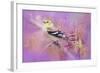 Abstract Goldfinch-Jai Johnson-Framed Giclee Print