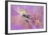 Abstract Goldfinch-Jai Johnson-Framed Giclee Print