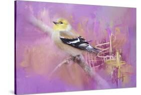 Abstract Goldfinch-Jai Johnson-Stretched Canvas