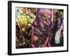 Abstract Graffiti Sea Sediment Agate Pattern-maury75-Framed Photographic Print