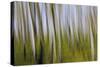 Abstract Grass 1214-Rica Belna-Stretched Canvas