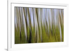 Abstract Grass 1214-Rica Belna-Framed Giclee Print