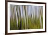 Abstract Grass 1214-Rica Belna-Framed Giclee Print