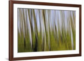 Abstract Grass 1214-Rica Belna-Framed Giclee Print