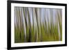 Abstract Grass 1214-Rica Belna-Framed Giclee Print