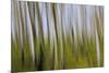 Abstract Grass 1214-Rica Belna-Mounted Giclee Print