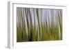 Abstract Grass 1214-Rica Belna-Framed Giclee Print