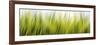 Abstract Grass 1411-Rica Belna-Framed Giclee Print