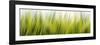 Abstract Grass 1411-Rica Belna-Framed Giclee Print