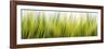 Abstract Grass 1411-Rica Belna-Framed Giclee Print