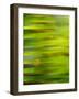 Abstract green flora-Savanah Plank-Framed Photo