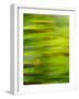 Abstract green flora-Savanah Plank-Framed Photo
