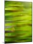 Abstract green flora-Savanah Plank-Mounted Photo