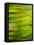 Abstract green flora-Savanah Plank-Framed Stretched Canvas