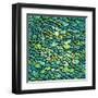 Abstract Green Marine Background Imitating Fish Scales. Raster Version of the Vector Image-tairen-Framed Art Print