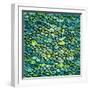Abstract Green Marine Background Imitating Fish Scales. Raster Version of the Vector Image-tairen-Framed Art Print