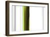 Abstract Green on White-NaxArt-Framed Art Print