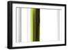 Abstract Green on White-NaxArt-Framed Art Print