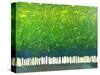 Abstract Green Trees-Patty Baker-Stretched Canvas