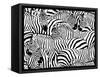 Abstract Illustration Herd of Zebras, Animal Seamless Pattern, Fashion Striped Print, Monochrome, C-Viktoriya Panasenko-Framed Stretched Canvas