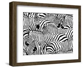 Abstract Illustration Herd of Zebras, Animal Seamless Pattern, Fashion Striped Print, Monochrome, C-Viktoriya Panasenko-Framed Art Print