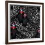 Abstract Illustration of Two Rooster and Hen (Chicken) in Background Black White Polka Dots, Cock S-Viktoriya Panasenko-Framed Art Print