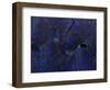 Abstract Image of a Crocea Clam Mantle-Eric Peter Black-Framed Photographic Print