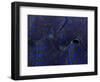 Abstract Image of a Crocea Clam Mantle-Eric Peter Black-Framed Photographic Print