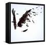 Abstract Image Of Black Wings Against Light Background-Sergey Nivens-Framed Stretched Canvas