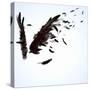 Abstract Image Of Black Wings Against Light Background-Sergey Nivens-Stretched Canvas