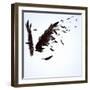 Abstract Image Of Black Wings Against Light Background-Sergey Nivens-Framed Art Print