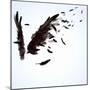 Abstract Image Of Black Wings Against Light Background-Sergey Nivens-Mounted Art Print