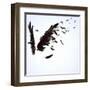 Abstract Image Of Black Wings Against Light Background-Sergey Nivens-Framed Art Print