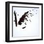 Abstract Image Of Black Wings Against Light Background-Sergey Nivens-Framed Art Print