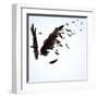 Abstract Image Of Black Wings Against Light Background-Sergey Nivens-Framed Art Print