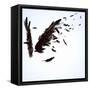 Abstract Image Of Black Wings Against Light Background-Sergey Nivens-Framed Stretched Canvas