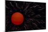 Abstract Image of the Sun-null-Mounted Photographic Print