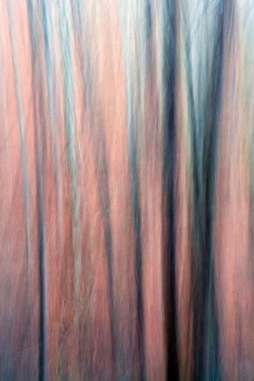 Photo, , large