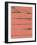 Abstract Indian Red and Green Study-Emma Moore-Framed Art Print