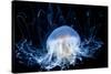 Abstract Jelly Fish-CValle-Stretched Canvas