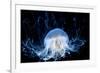 Abstract Jelly Fish-CValle-Framed Photographic Print