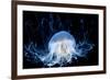 Abstract Jelly Fish-CValle-Framed Photographic Print