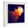 Abstract Jellyfish in the Ocean. Fractal Art Graphics-Artem Volkov-Framed Premium Photographic Print