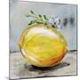 Abstract Kitchen Fruit 1-Jean Plout-Mounted Giclee Print