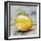 Abstract Kitchen Fruit 1-Jean Plout-Framed Giclee Print