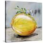 Abstract Kitchen Fruit 1-Jean Plout-Stretched Canvas